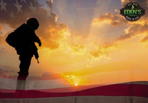 Uniformed military man standing in sunset