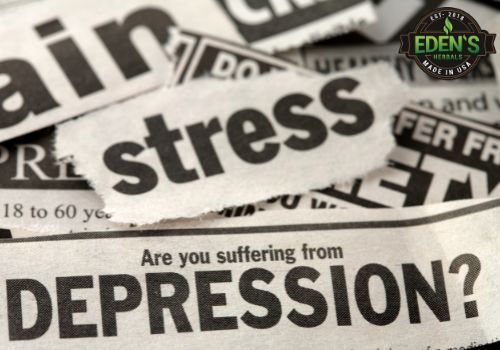 photo of the words anxiety, depression and stress